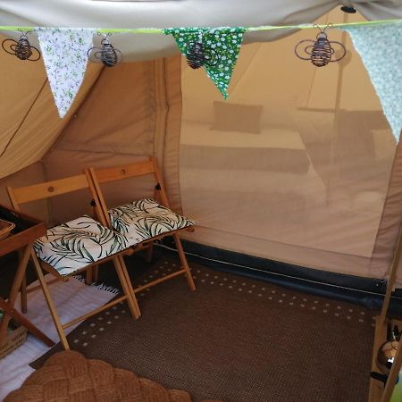 Coed Y Brenin Retreat - Bell Tent Glamping Near Aberaeron Ciliau-Aeron Eksteriør bilde