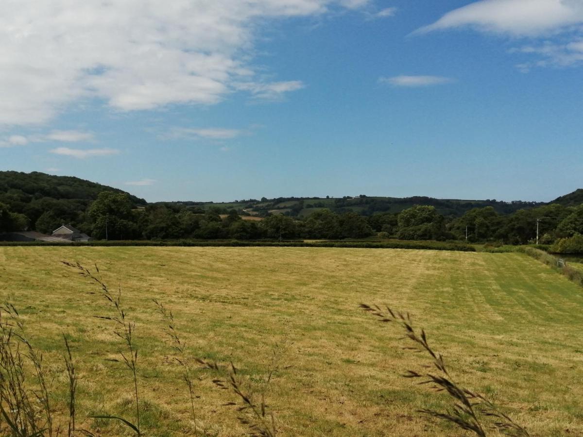 Coed Y Brenin Retreat - Bell Tent Glamping Near Aberaeron Ciliau-Aeron Eksteriør bilde