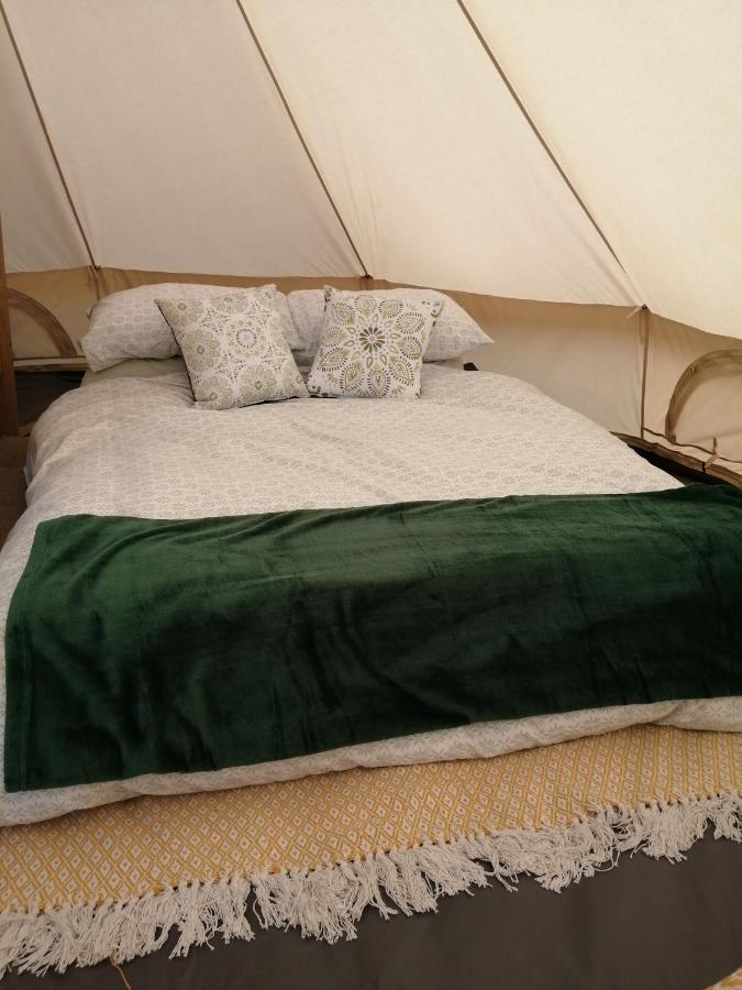 Coed Y Brenin Retreat - Bell Tent Glamping Near Aberaeron Ciliau-Aeron Eksteriør bilde