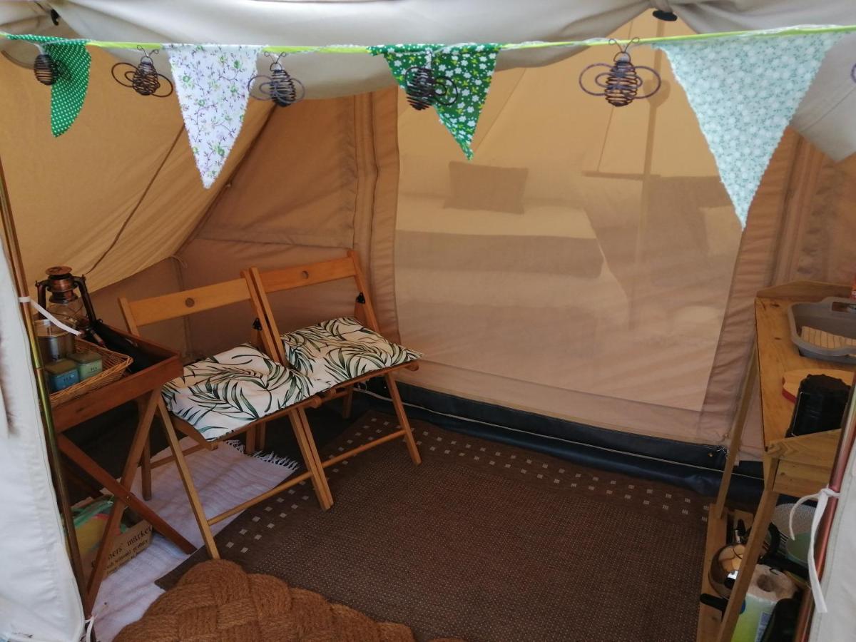 Coed Y Brenin Retreat - Bell Tent Glamping Near Aberaeron Ciliau-Aeron Eksteriør bilde
