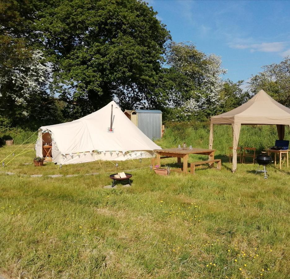 Coed Y Brenin Retreat - Bell Tent Glamping Near Aberaeron Ciliau-Aeron Eksteriør bilde