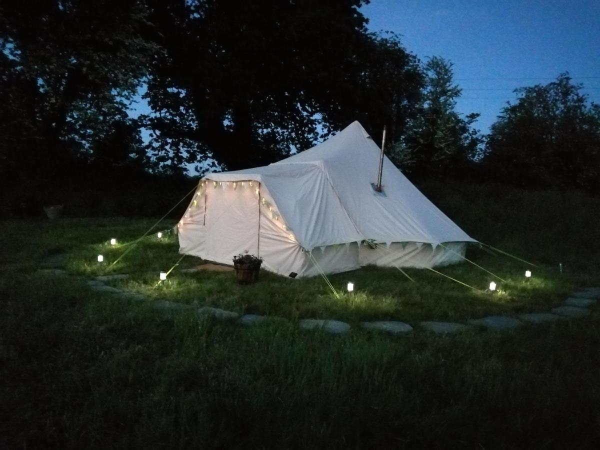 Coed Y Brenin Retreat - Bell Tent Glamping Near Aberaeron Ciliau-Aeron Eksteriør bilde