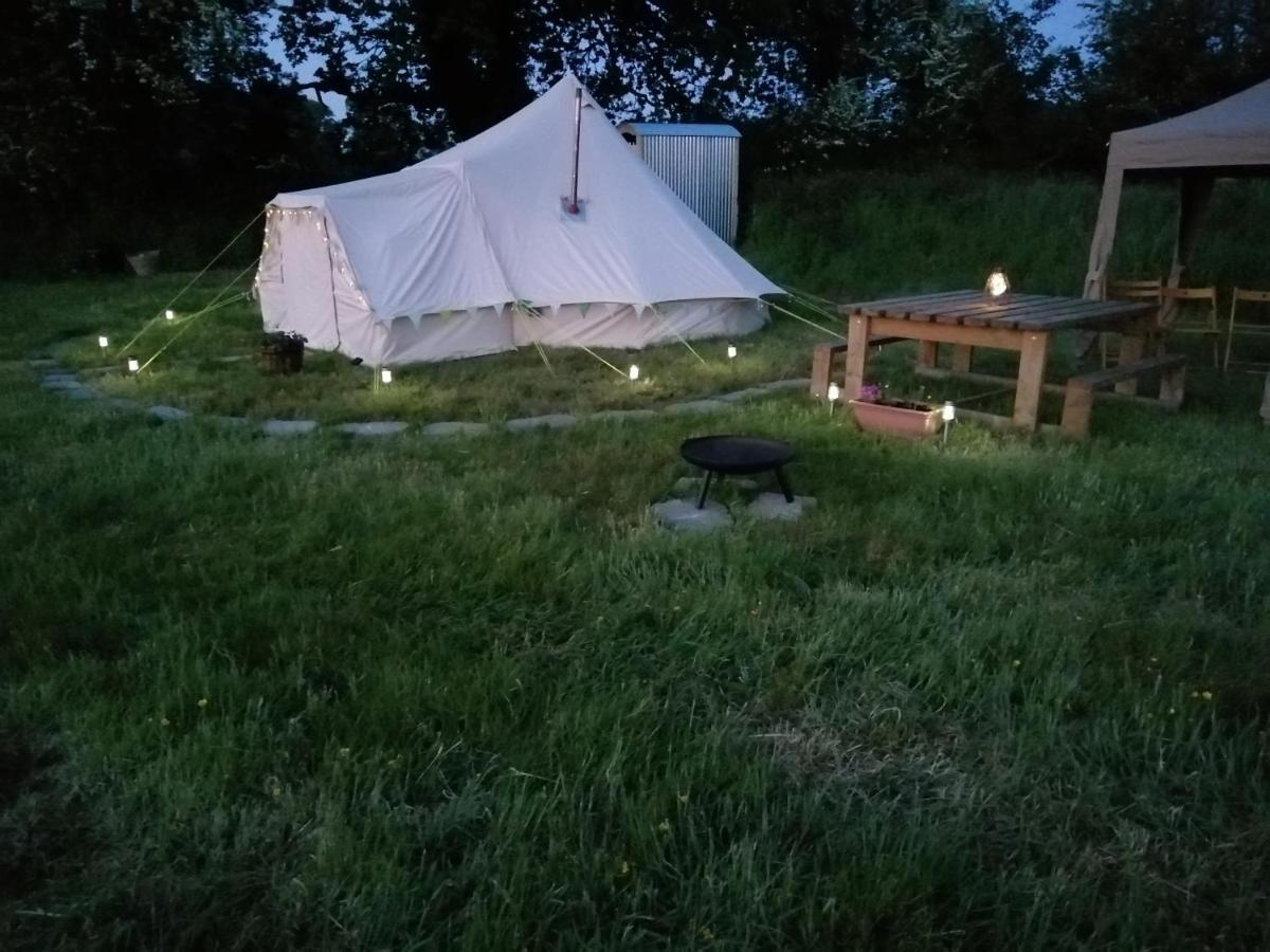 Coed Y Brenin Retreat - Bell Tent Glamping Near Aberaeron Ciliau-Aeron Eksteriør bilde